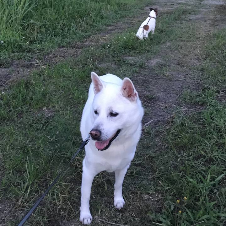 A240a750 c59d 4ce2 9b56 594fbaf19d67