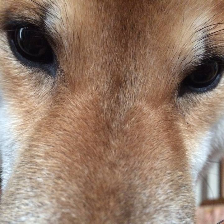 A240f708 faf5 4784 b0d4 236b324fbd54