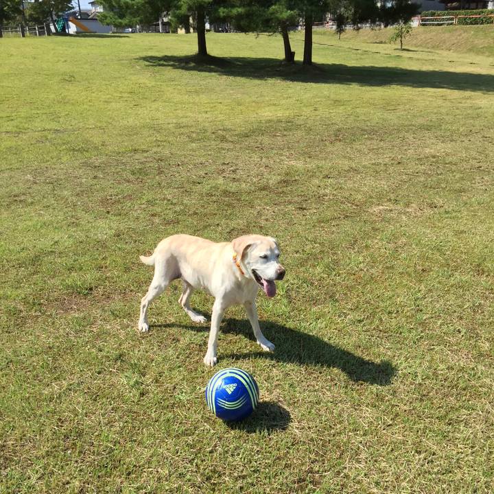 A240f8aa 3ab0 4882 b750 6fb088b6eece