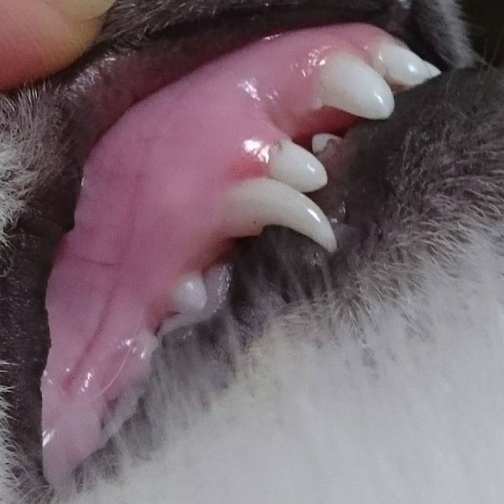 A2417211 e509 4063 93e0 d5c9b03b33f4