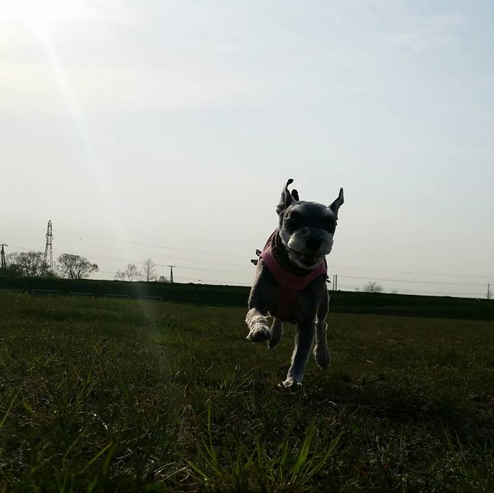 A2419dd1 6a82 4818 8fe8 cb97c41150e2