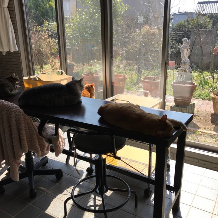 A241d07f 3383 4905 b435 f4d8084f8d96