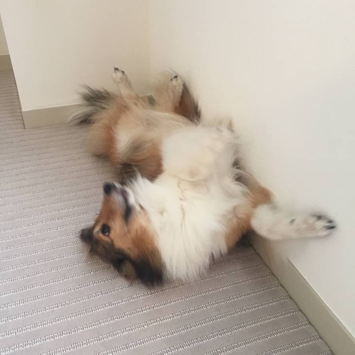 A243fdf4 b849 4db4 8c90 2809f9c359cf