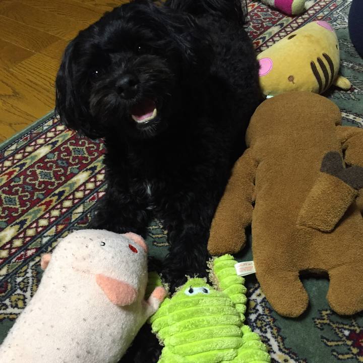 A2441557 15b3 4acb 888c 737b2e974a55