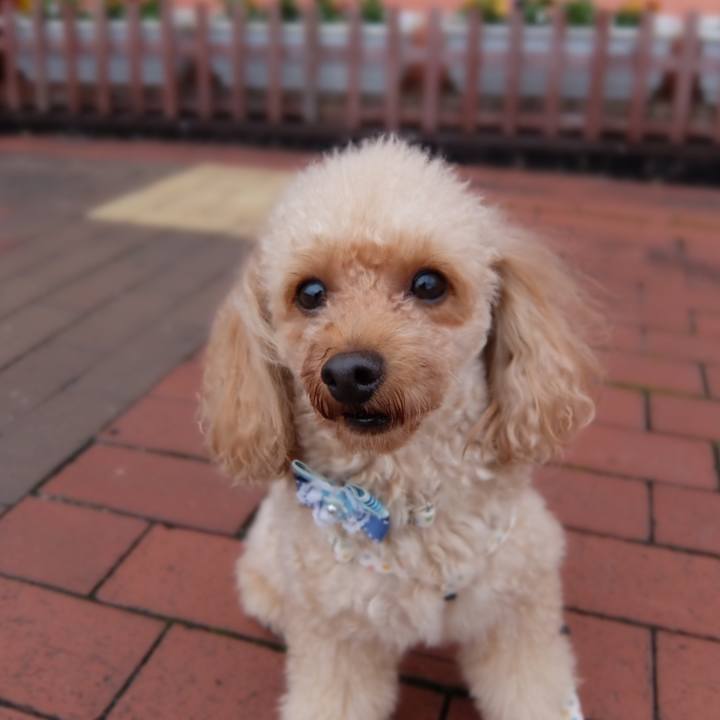 A2443632 bc09 40c5 b6e4 141d11af24f0