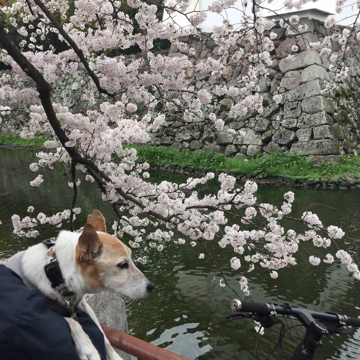 A2443b5d 7ad3 4138 8843 5907170b9251