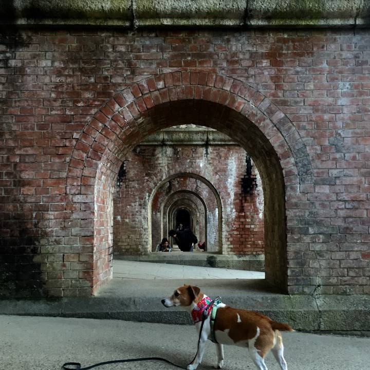 A2444fc0 0e57 423b 8bbf 512befd18c47