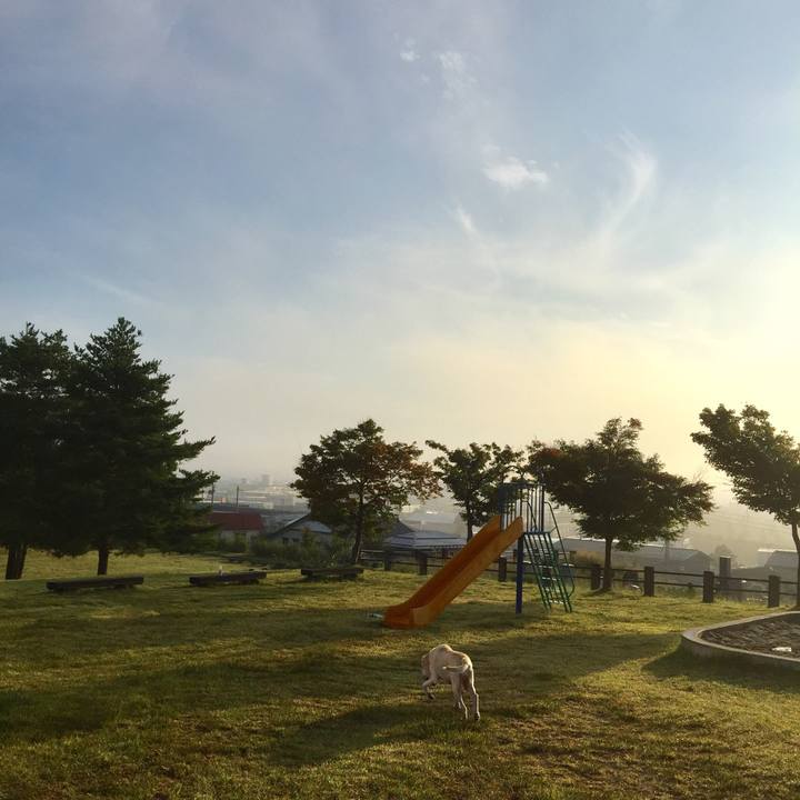 A2448b00 9603 48aa 9573 16ef4c24e02d