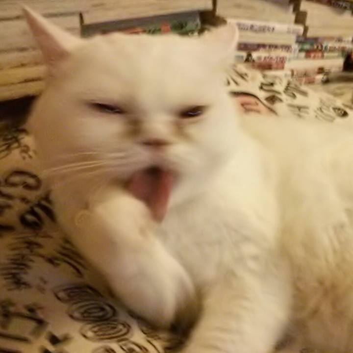 A244b35c 9e8d 46cc 87bf 170c17990f30