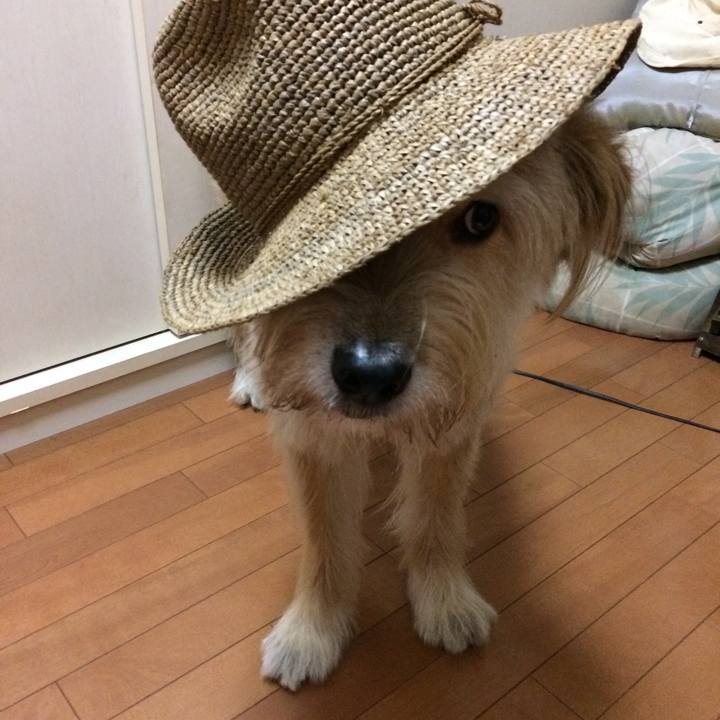 A244ca54 0c9e 4ba3 9511 c5bc3623dc20