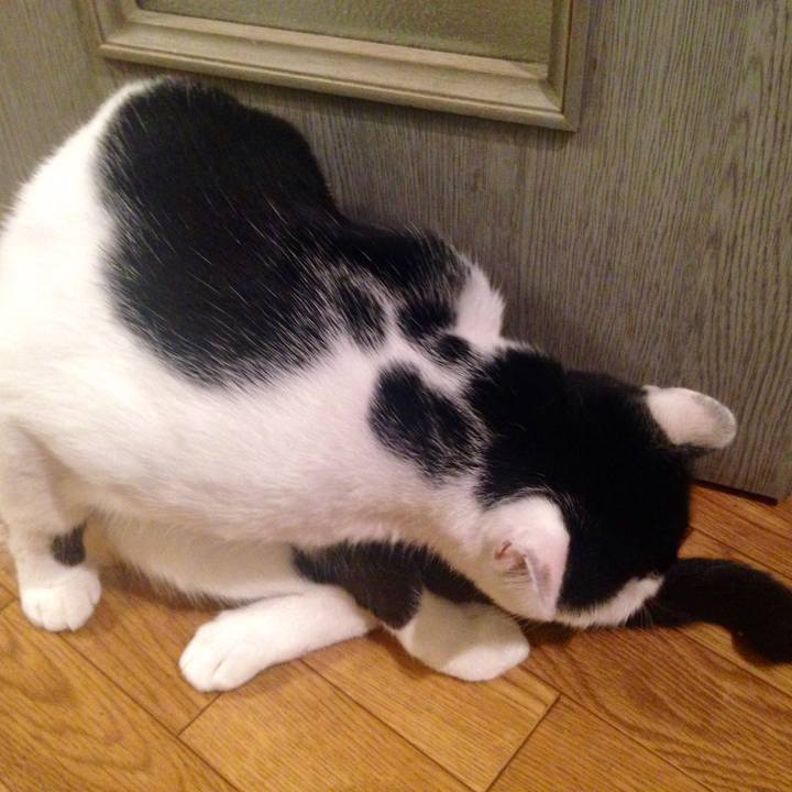 A2450e0d 8e1c 49d0 a7d7 fbe72a94d7aa