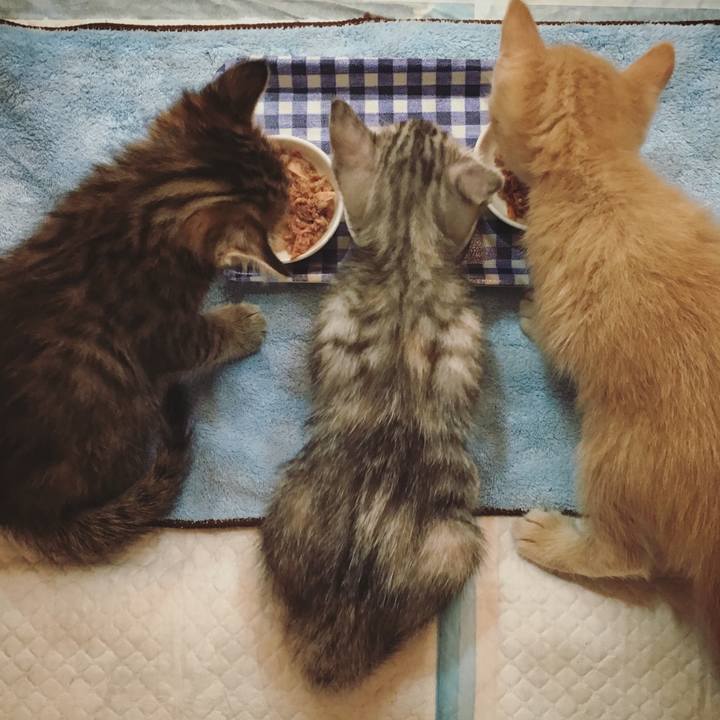 A2456650 8626 47d3 a48d 312543b62bd0