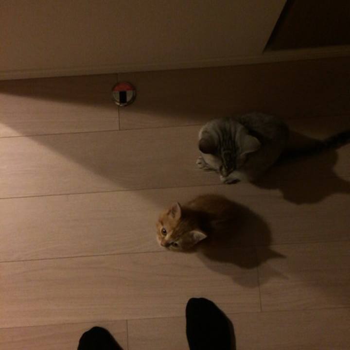 A245ad2e de0b 4cf2 bd0f fa86a65a27b8