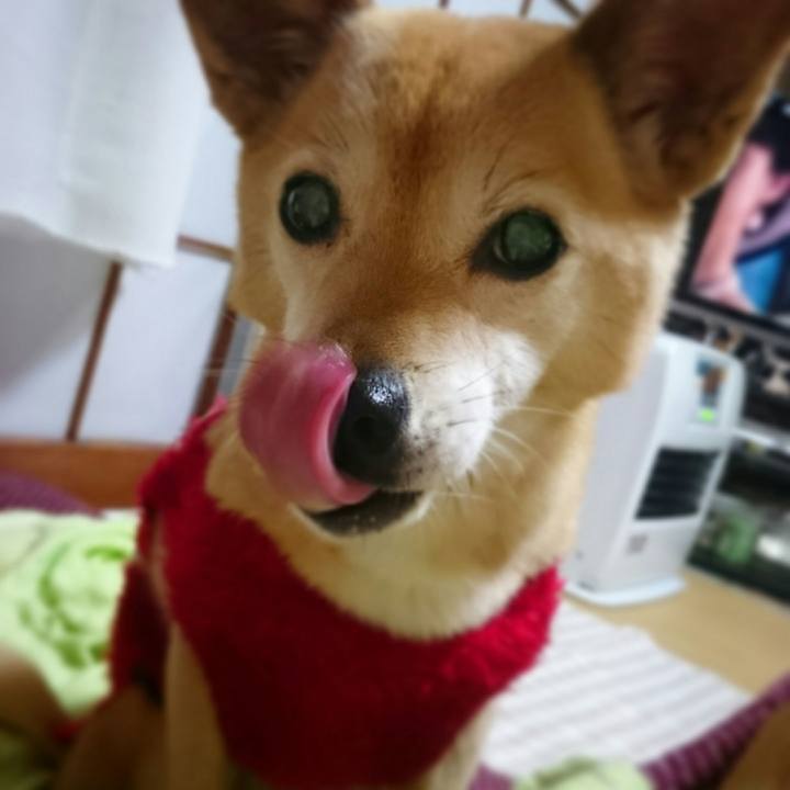 A245d817 4e34 485f 8b01 55918f9f78ca