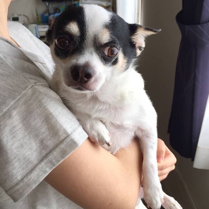 A245e715 5b5e 4b6e b21c 24486565e35e