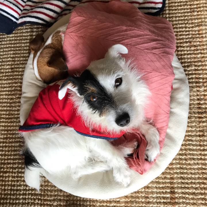 A2460508 98d6 40d2 8d35 7c985d58ca84