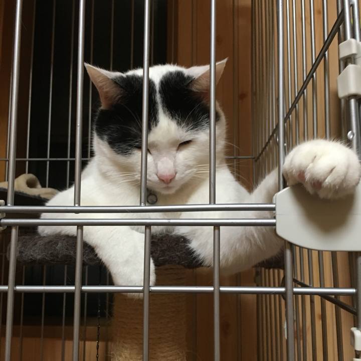 A2466fc9 1151 4fb3 bb78 20ec2cf278fc