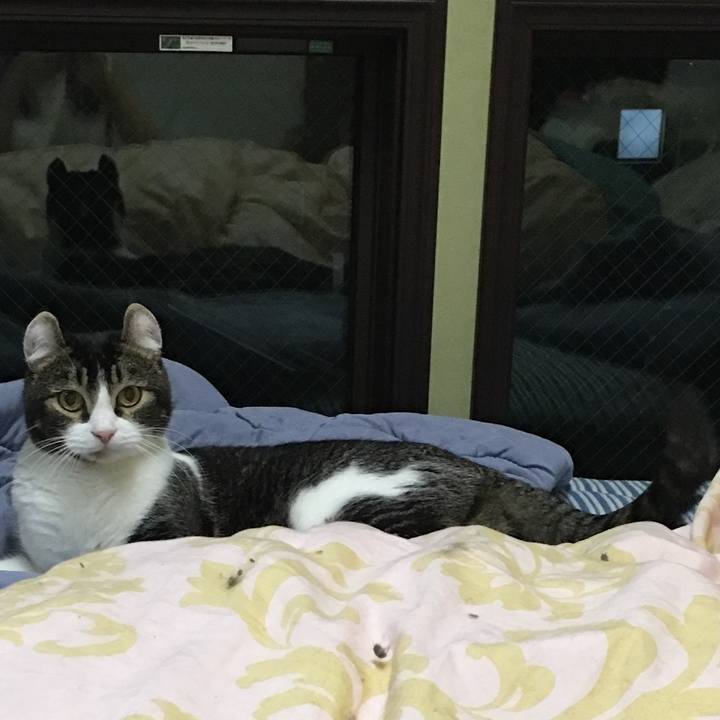 A2473158 3af8 447e aadf 4796f193ecc9