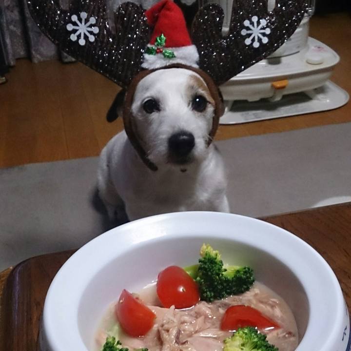 A2475720 9866 445d bfcf 57fc93b706fe