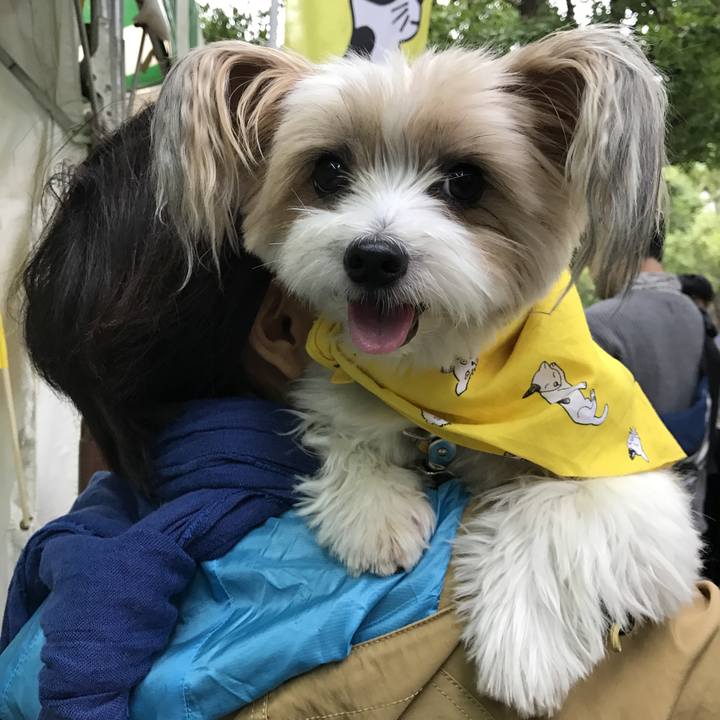 A2477dd3 4841 4a66 82c4 4b656fd07c89