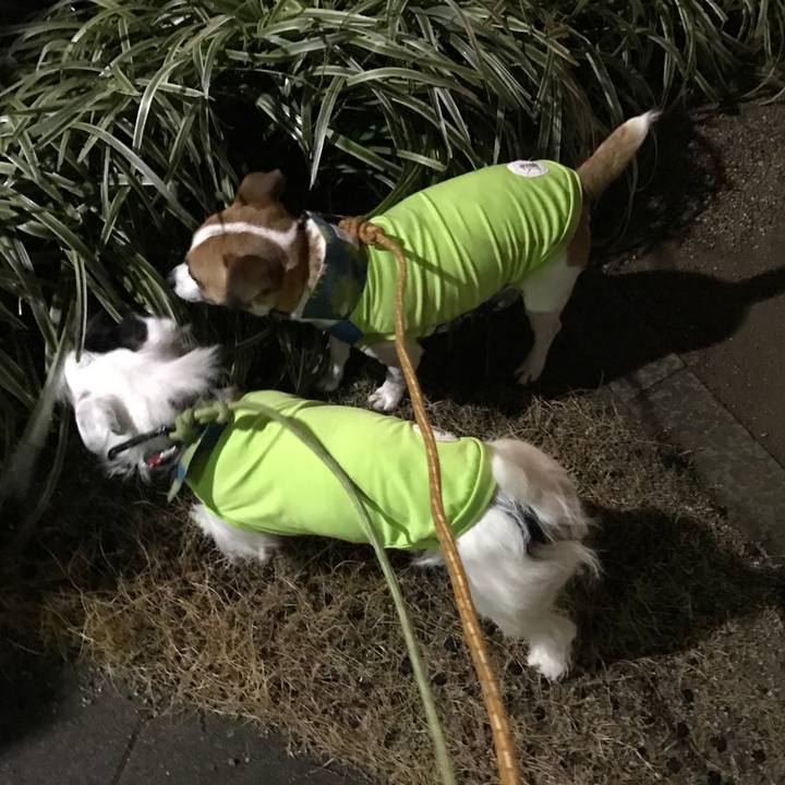 A247fea5 f29e 4d3b 8764 bf8048426b6c