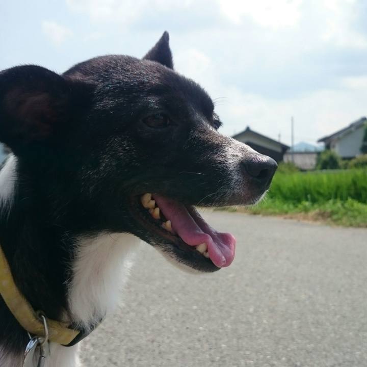 A24823f0 0cd4 44c4 97cf 6d373f11b85a