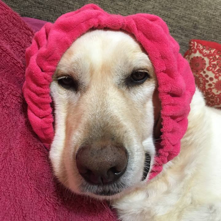 A2484acb 042c 4afc 9ae5 cf67e5ecf87e