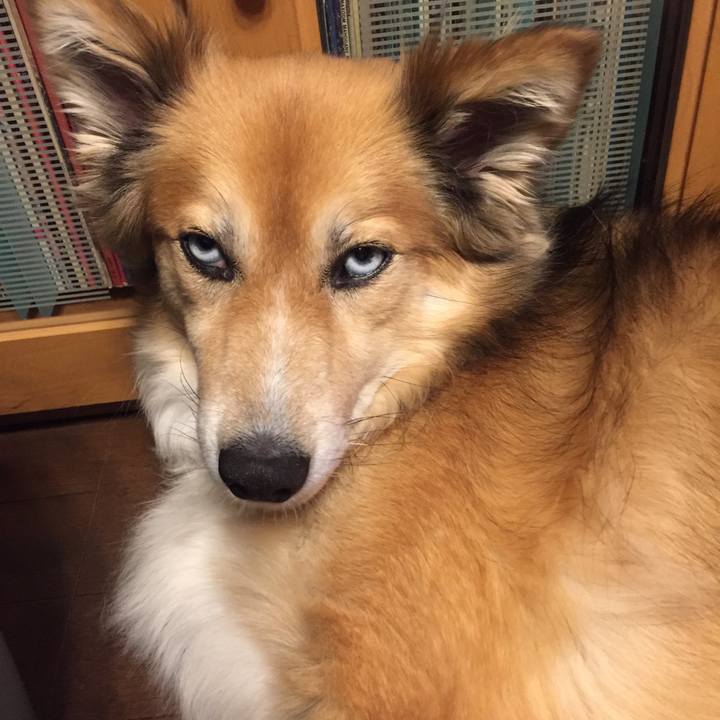 A248d758 1b1c 41a6 a079 148f808fd7cf