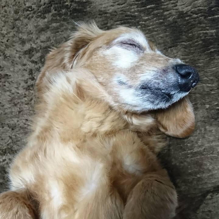 A249032d e8c0 4455 980d d05f7f609b80