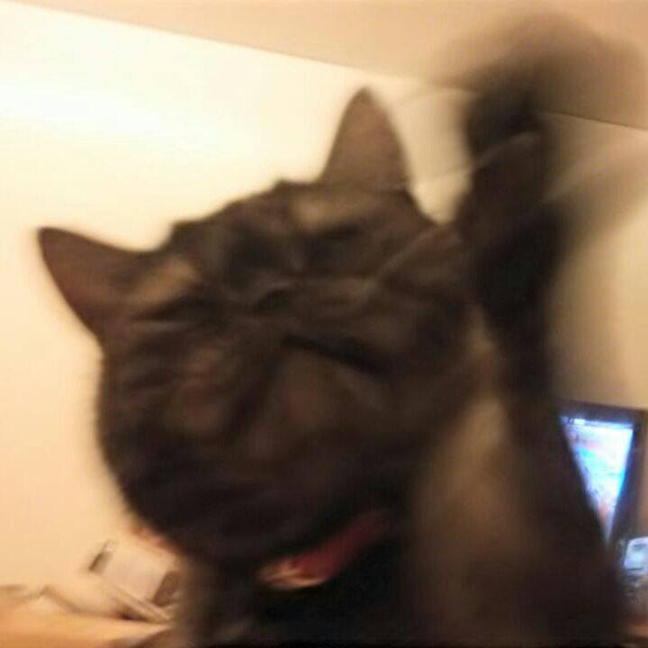 A249713e 1412 4465 88d2 00d09362929d