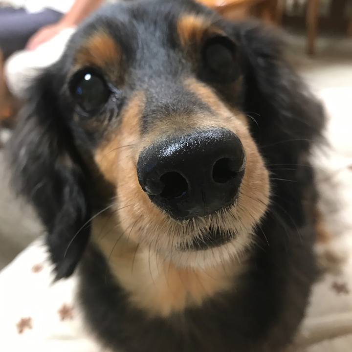 A24bdb13 a9ac 4be5 b30e 02adfaaa2892