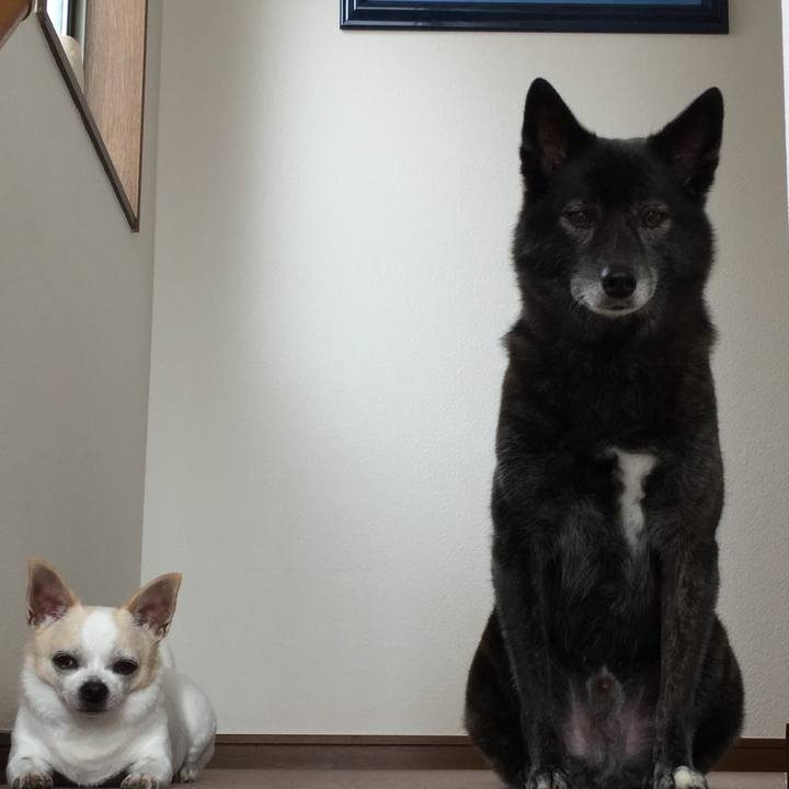 A24c59b5 0ec4 4cdf abfd cc66351c7791