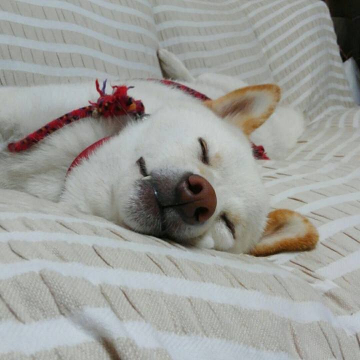 A24cb6e7 96af 4970 ae08 ce964eafe1d2