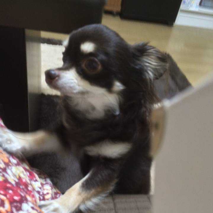 A24cd525 b6ed 47bd a06a 14709090e1d0