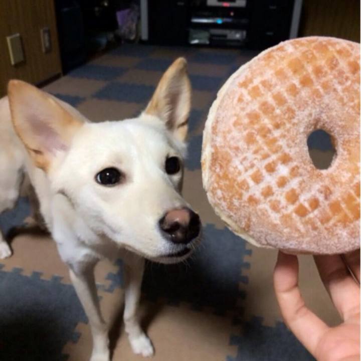 A24cd681 6545 420c 973c 2bb93cdde463