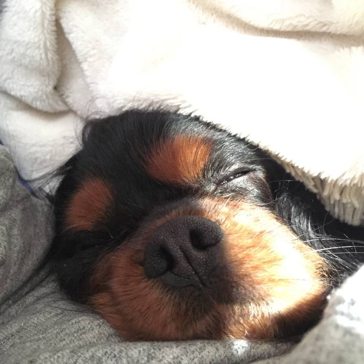 A24cebcb b013 4e80 9a0e 09f279c654f1