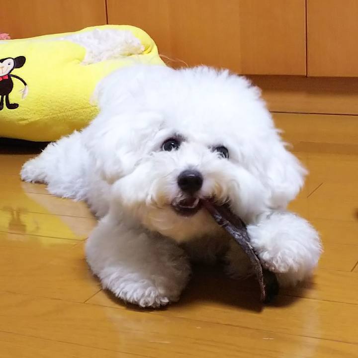 A24dce02 9360 4c5b abd5 142644da7be1