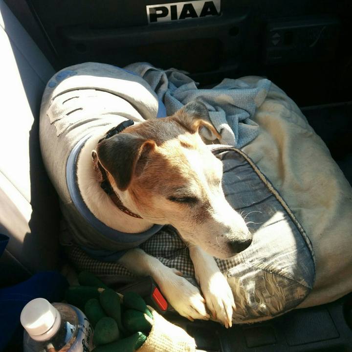 A24eb452 4e62 4387 aaed c0460598d12e