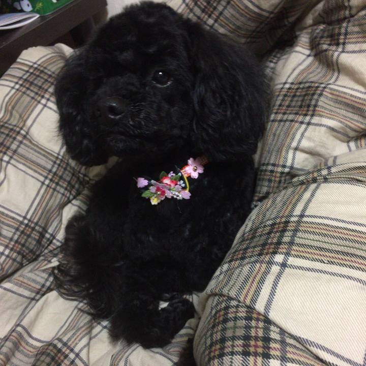 A24edefc defe 444a 9092 c9cc7662c208