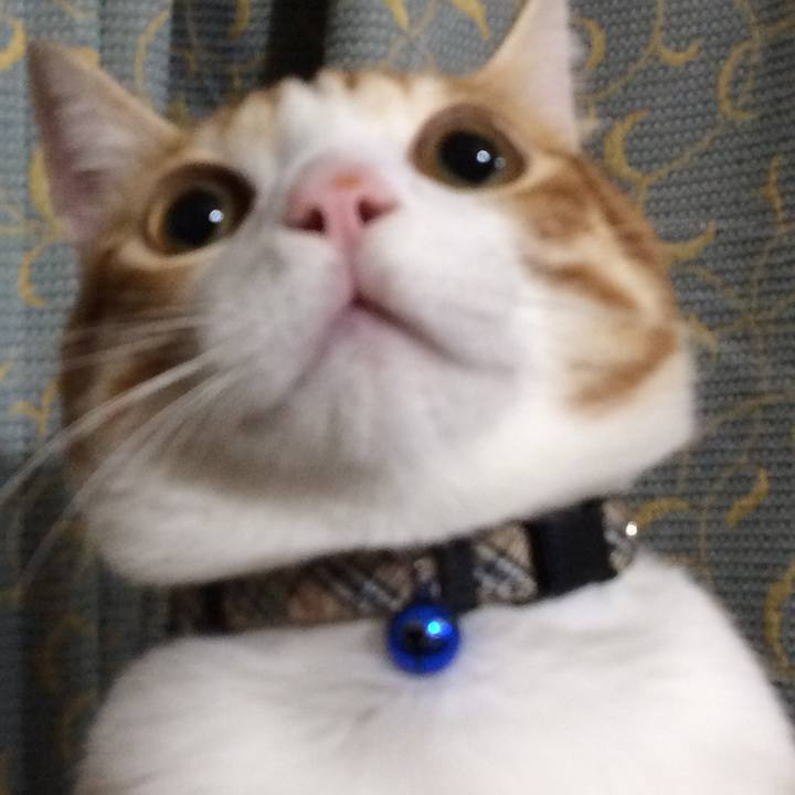 A24f3819 b862 4f37 8f11 acdfbd1708c8