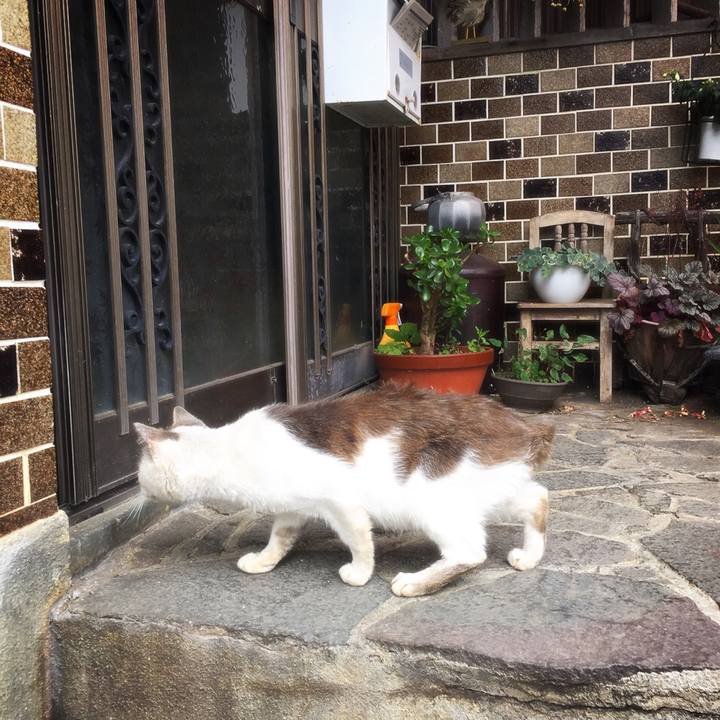 A24fcffe 526c 4261 974b 3be19f26714f