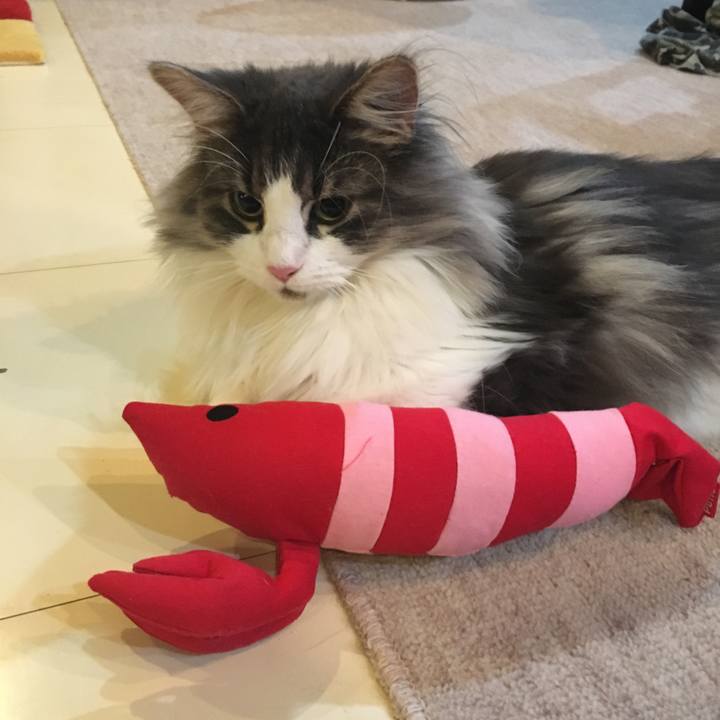 A250dfb7 1d27 4c3a b6f1 ed78e5d98978