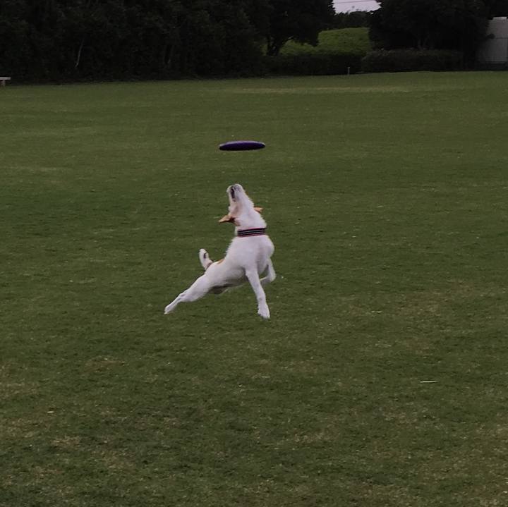 A251e9bf 54ad 4d09 afa9 f96555bf0f29