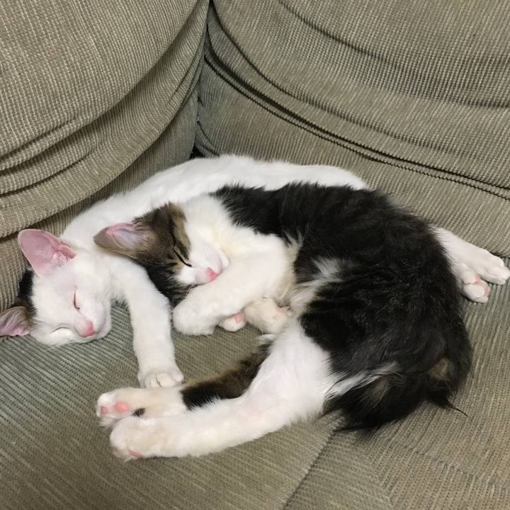 A2528b5c fbc4 4e6c 926f fb16d5356a5e