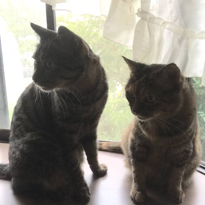 A2528c42 920c 4a85 849f 4424be58907b