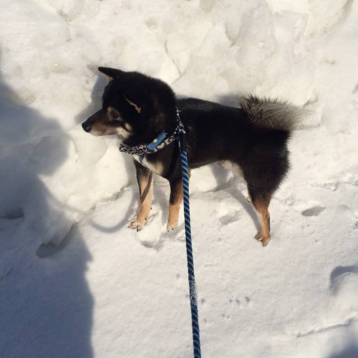 A252ccaa b5a8 4953 b36d 1f230692f765