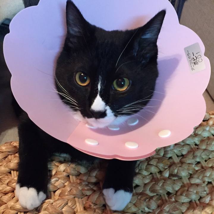 A2537d5b a8fe 4647 85a5 0628ec97702f