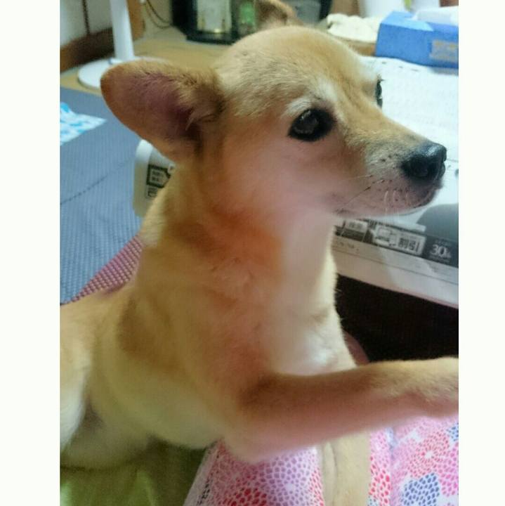 A253ba13 cb9a 402d 8231 546cb8056ba3