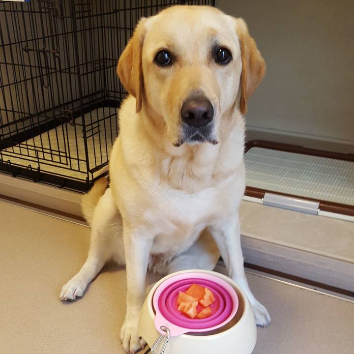 A254b4bc 275b 49ba 80fc e50ecedaa74b