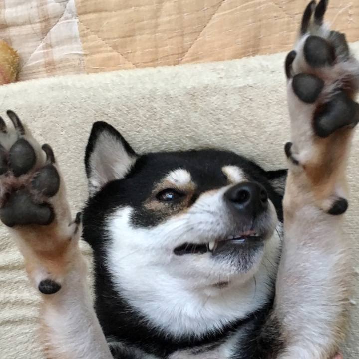 A254b5b7 e50c 4c46 81bf f25f5def5764